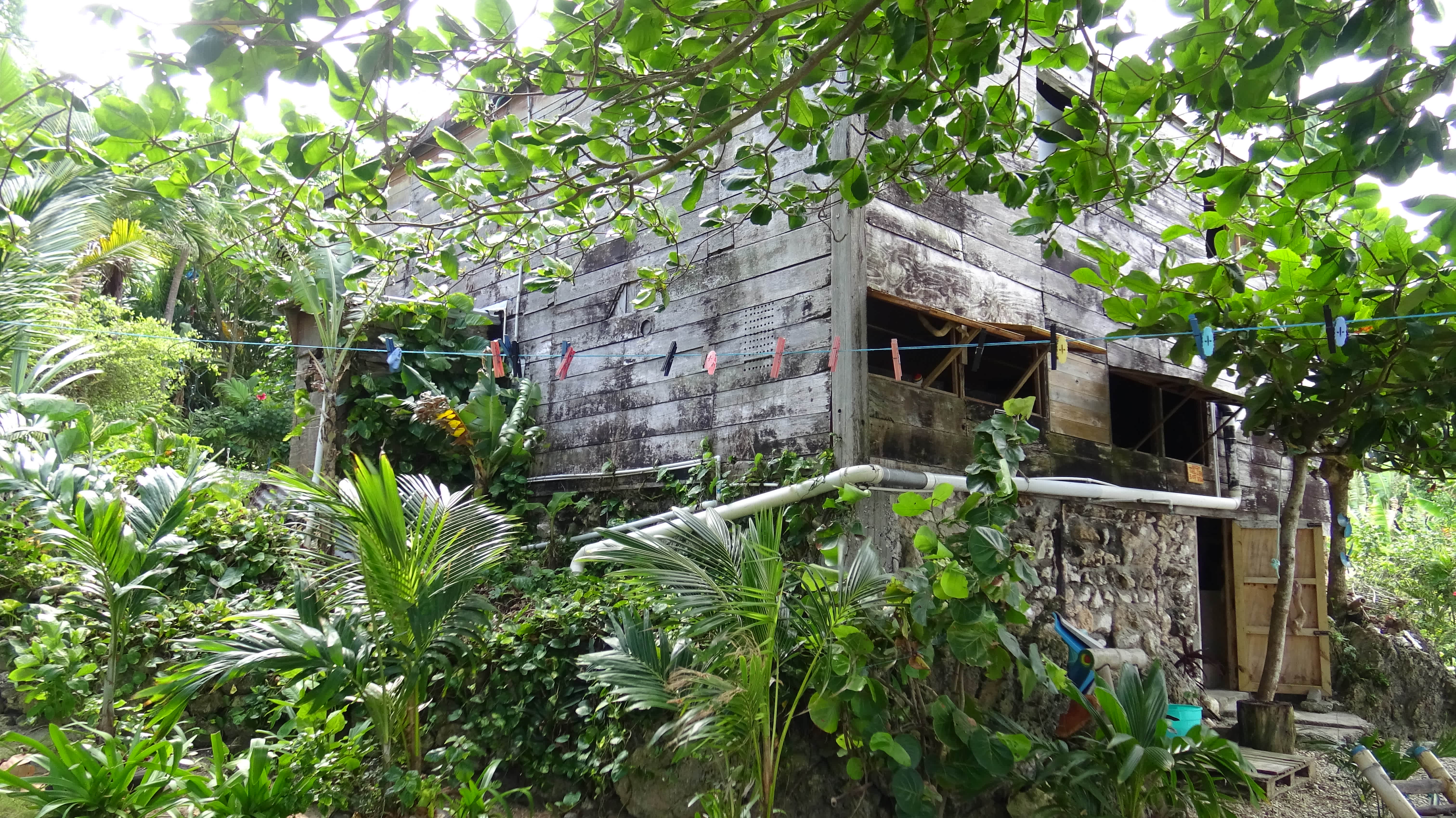 Port Antonio Brian's Beach House in Port Antonio, Jamaica Book B&B's
