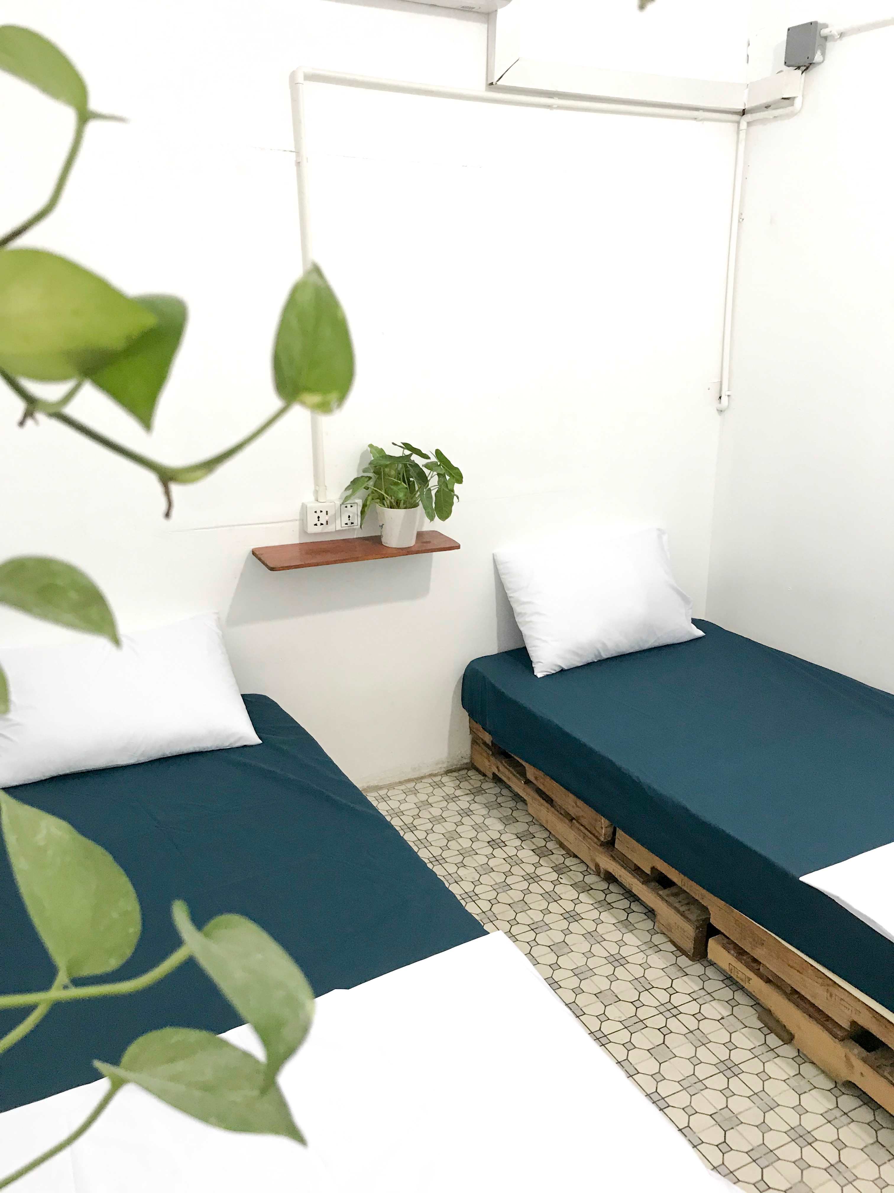 Sacred Lotus - Vegan - Café X Hostel | Phnom Penh 3