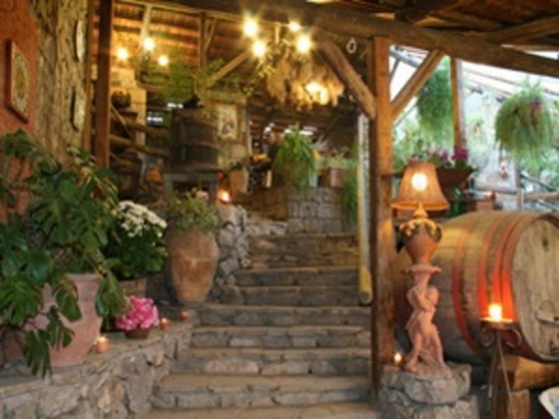 Agriturismo Fattoria Terranova