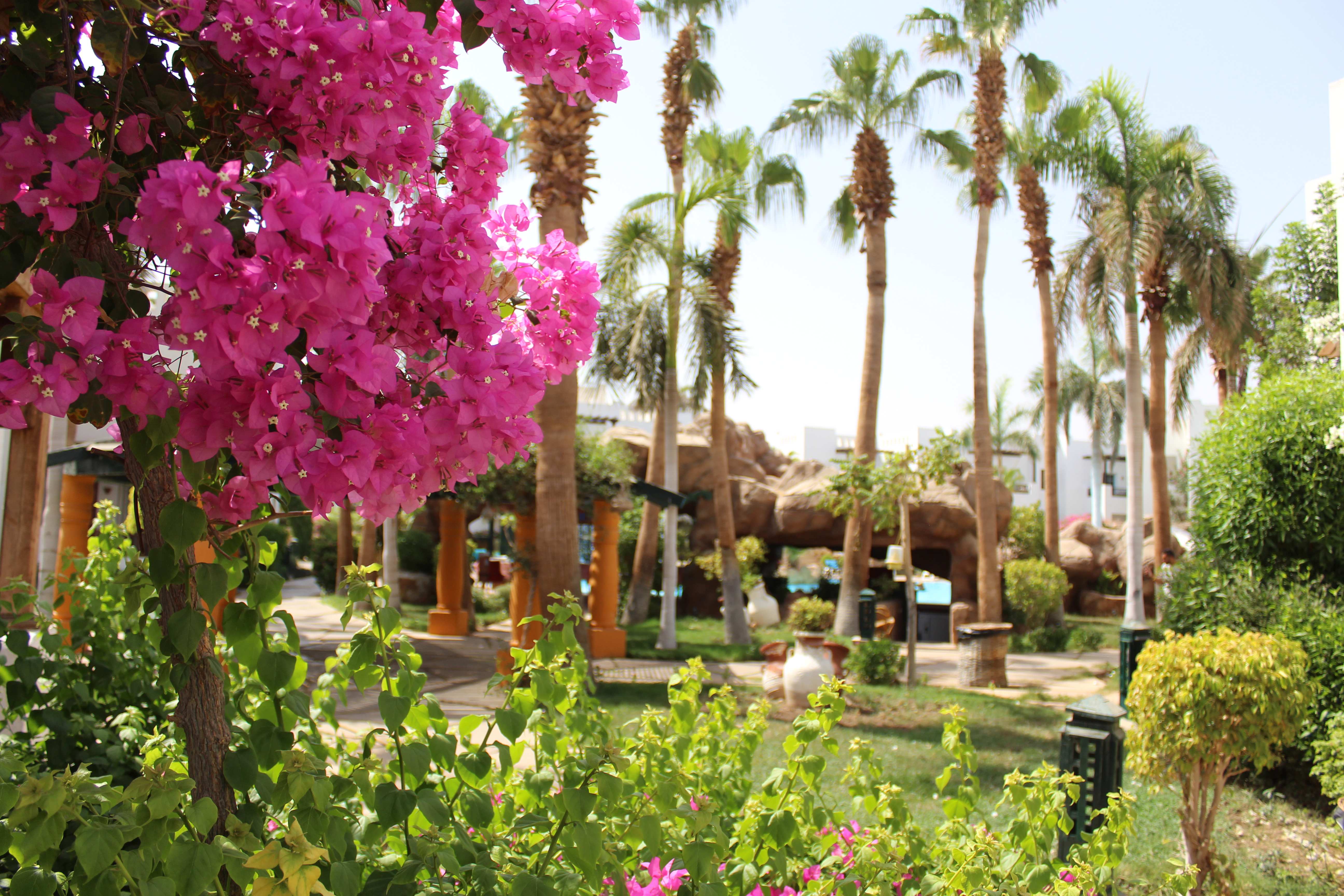 Sahl Hasheesh Centrum