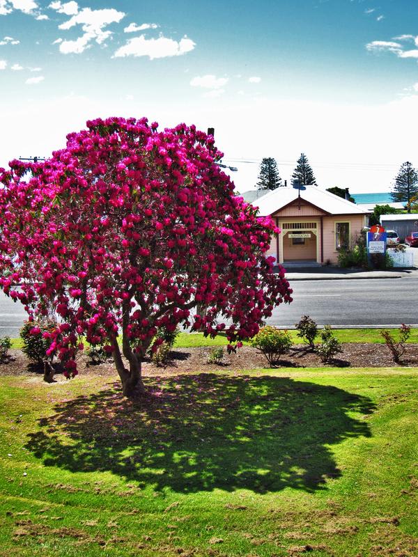 Albatross Backpacker Inn