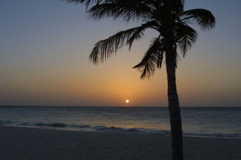 Aruba Harmony
