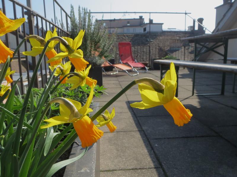 City Backpacker - Hostel Biber