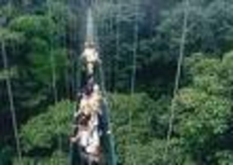 Manakin Lodge in Monteverde, Costa Rica Book Budget Hotels with