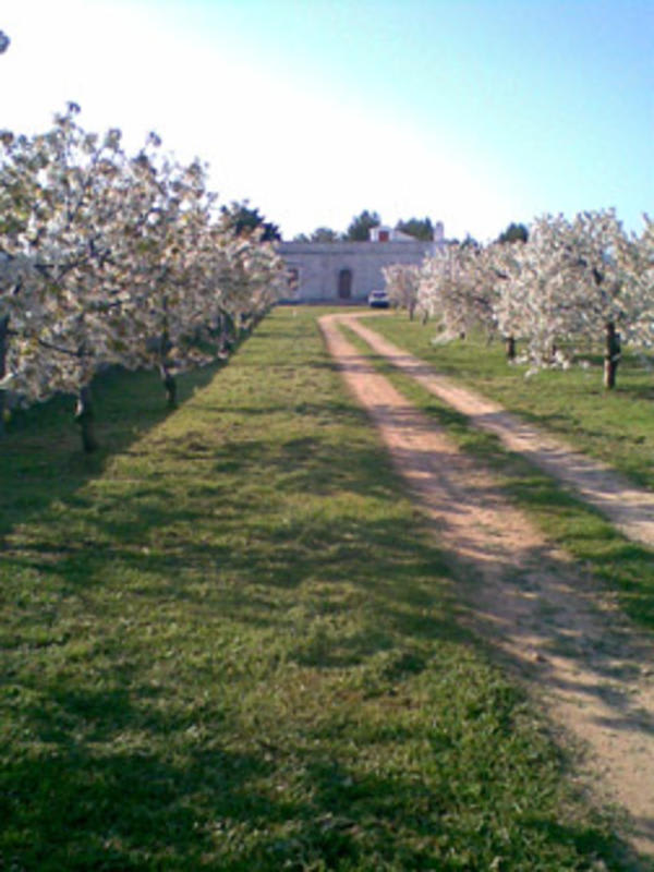 B&B Masseria Spilafemine In Putignano, Italy - Find Cheap Hostels And ...