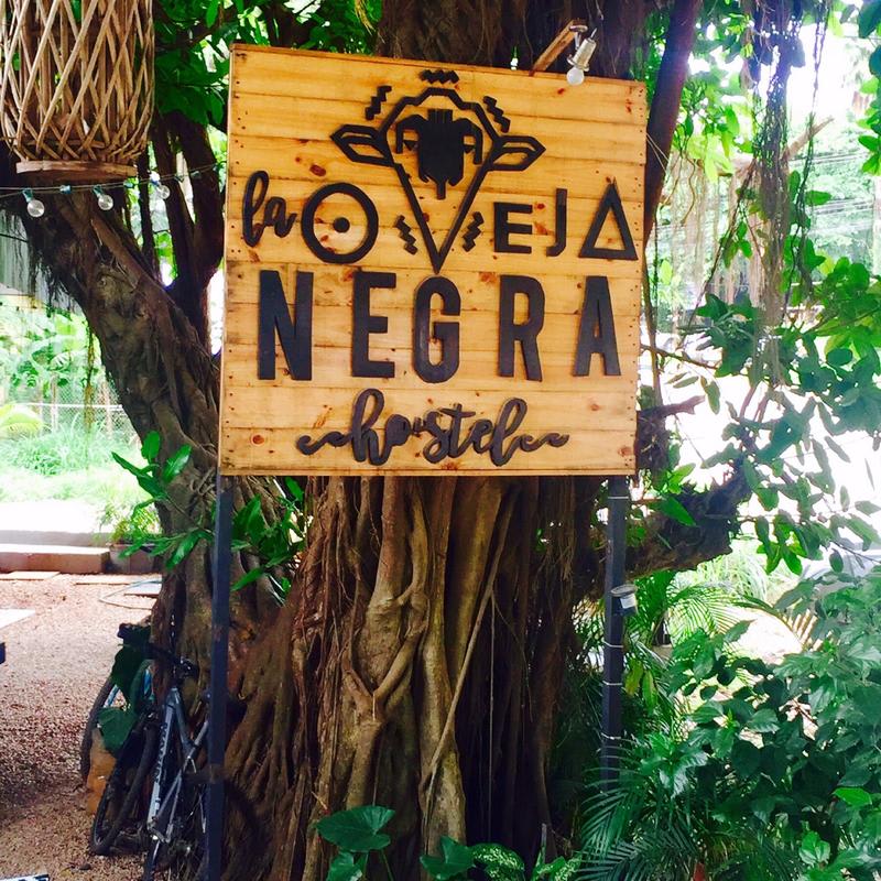La Oveja Negra Hostel