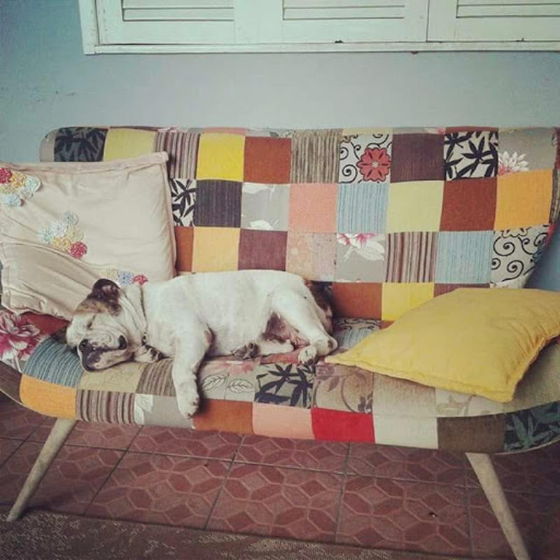 Retro House