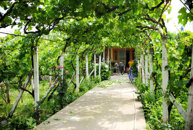 Florian Shkodra Guesthouse