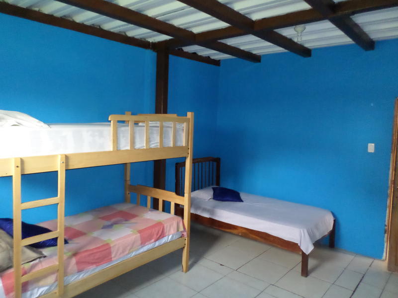 Thefunkymonkeyhostel