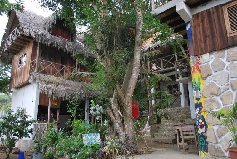 Hostal El Pelicano