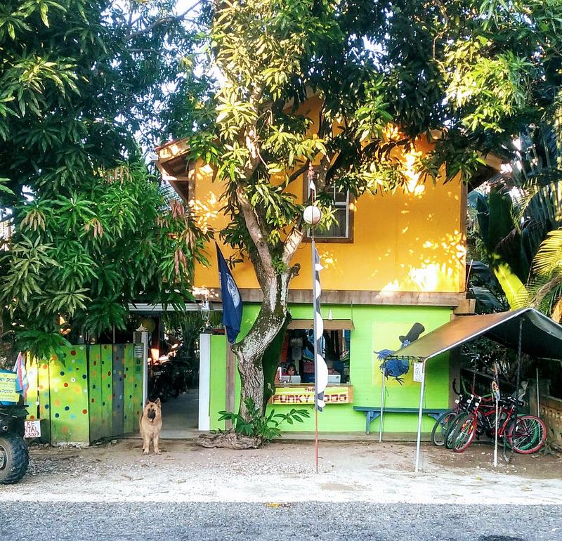 The Funky Dodo Backpackers Hostel