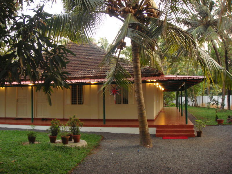 Palm Grove