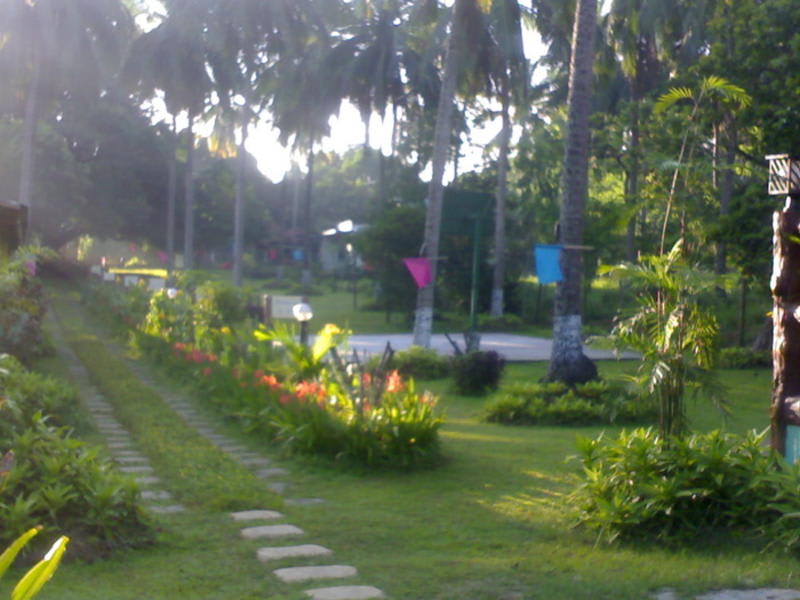Merryland Campsite