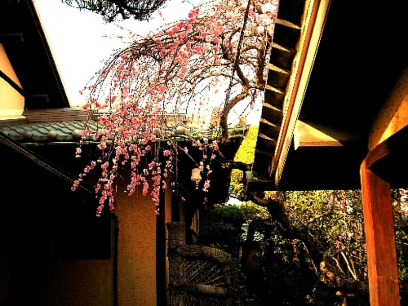 Guesthouse Nara Backpackers