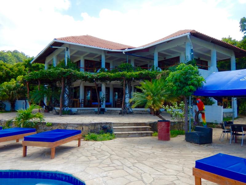 Naked Tiger Hostel