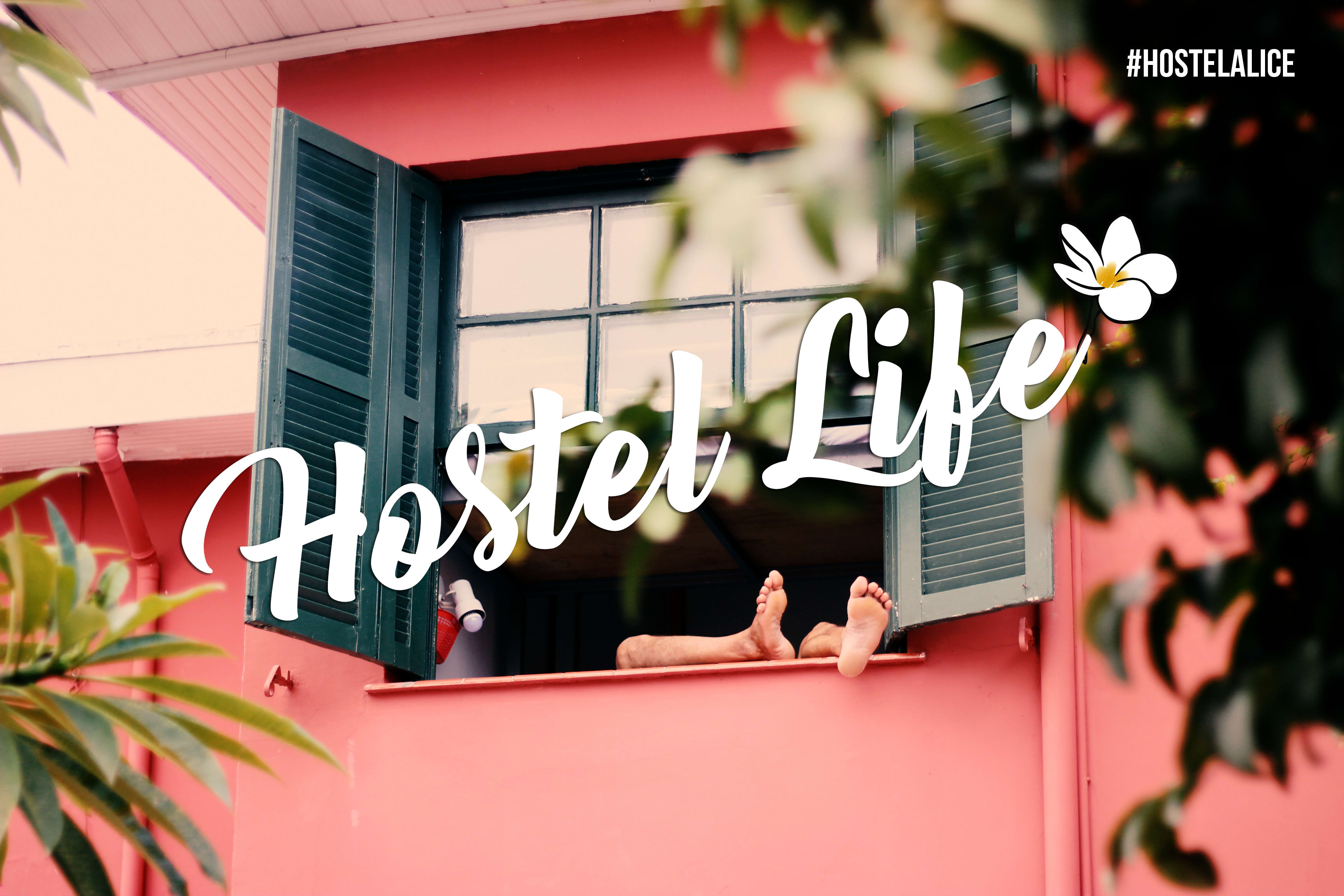 Hostel Alice