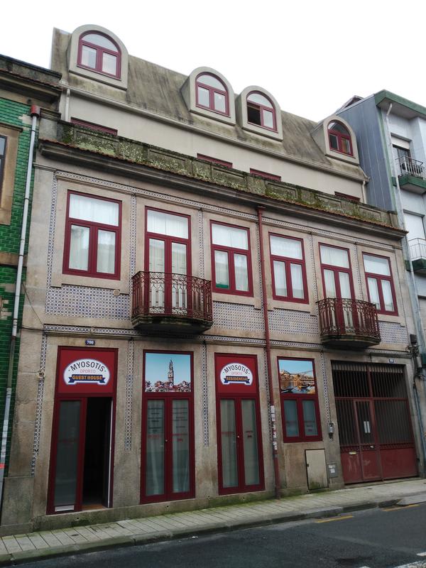 Myosotis Oporto