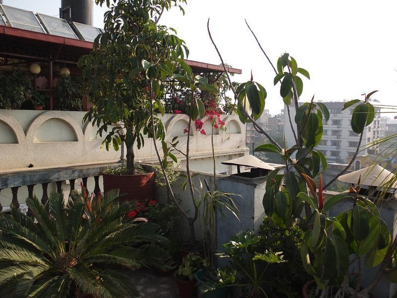 Festoon Hotel in Kathmandu, Nepal Book Budget Hotels with