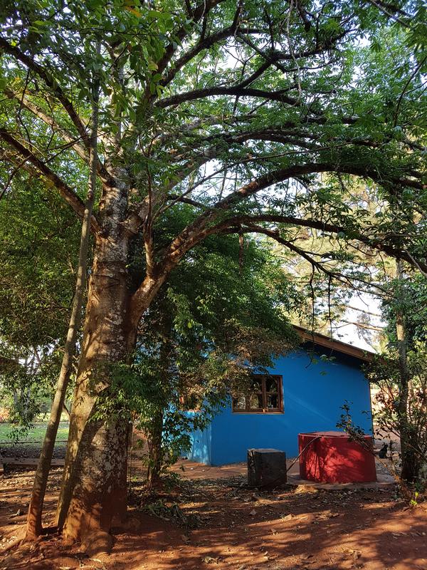 Casa Yaguarete B&B