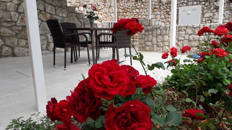 Apartment Marija Dubrovnik