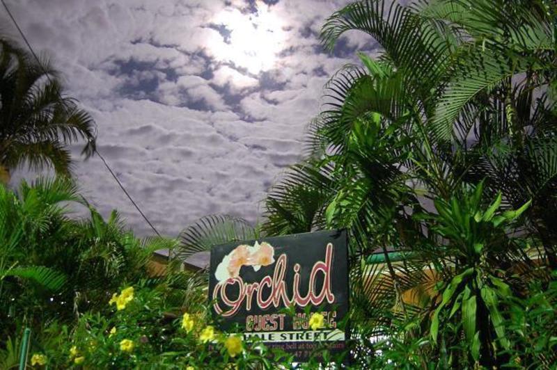 Orchid Guesthouse