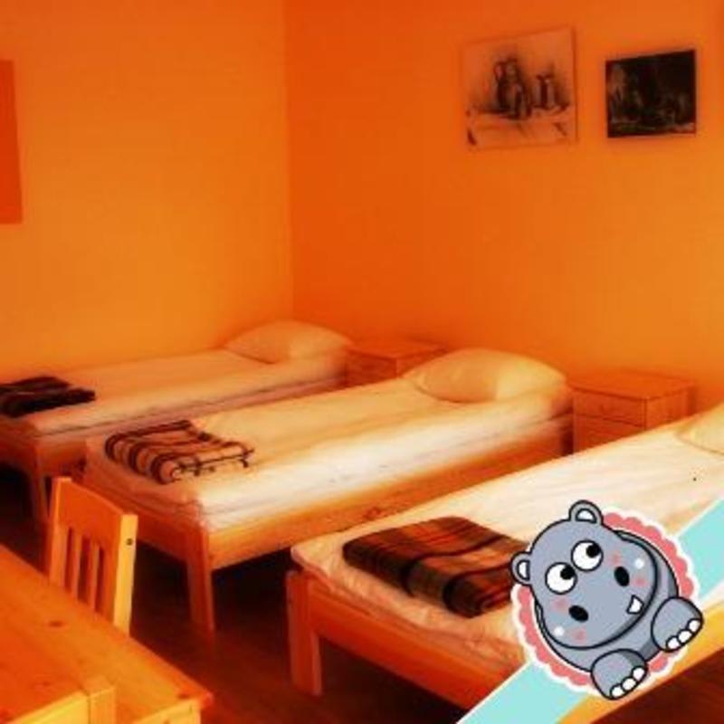 Happy Hippo Lodz 2024 Prices & Reviews Hostelworld