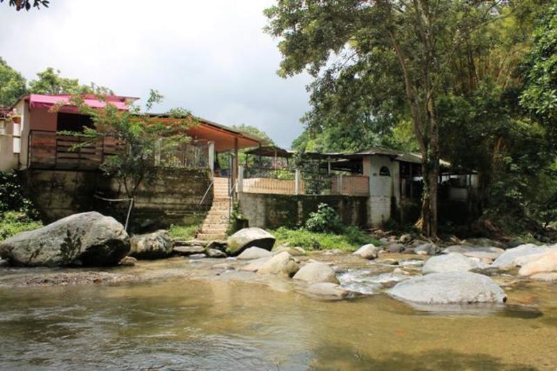 Sierra's Sound EcoHotel in Minca, Colombia Find Cheap Hostels and