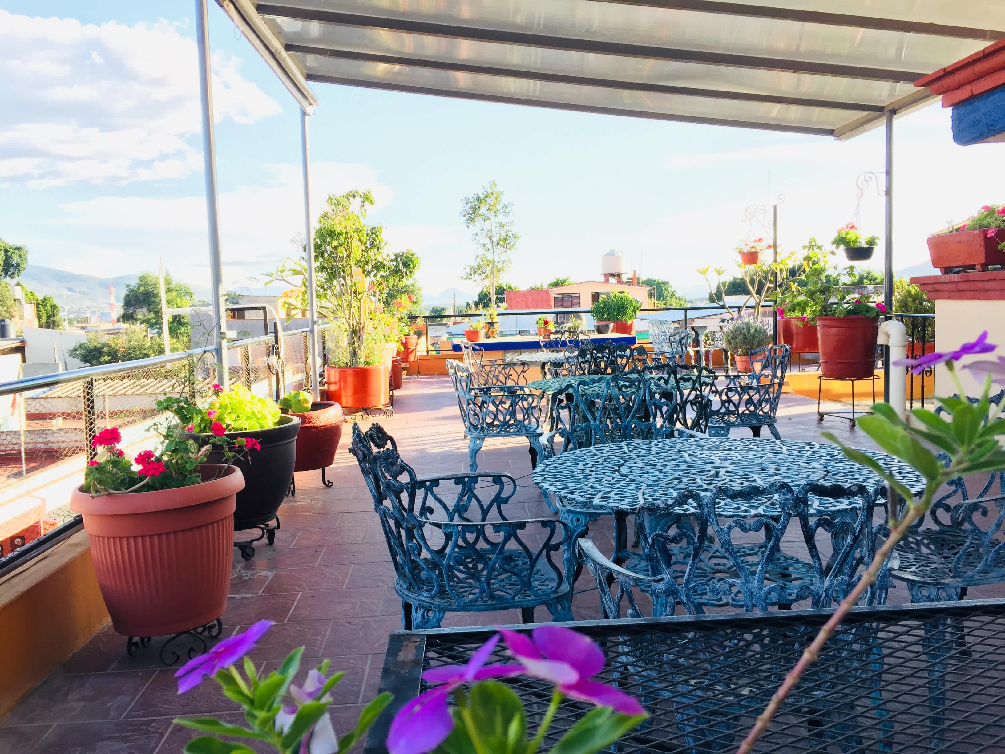 Hotel Cazomalli in Oaxaca, Mexico Find Cheap Hostels and Rooms at