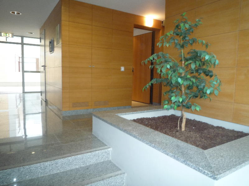 Luna Apartment in Aveiro, Portugal Find Cheap Hostels and Rooms at