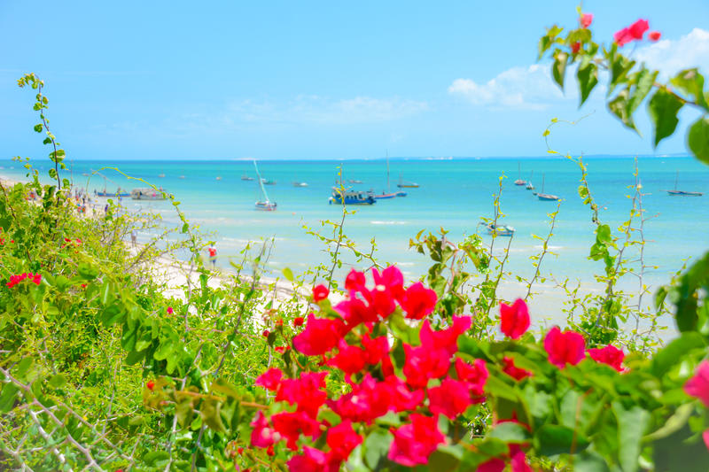 Baobab Beach Lodge and Backpackers