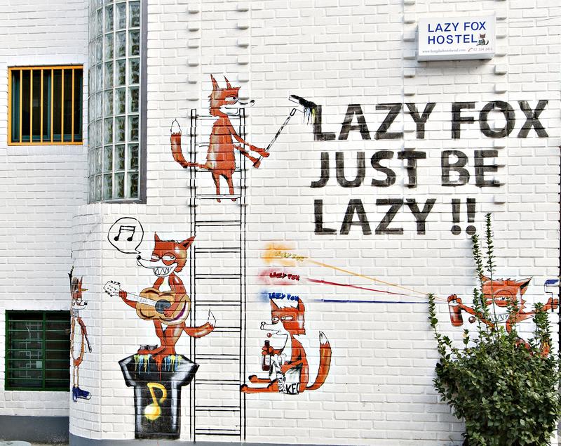 Hongdae Lazy Fox Hostel In Seoul