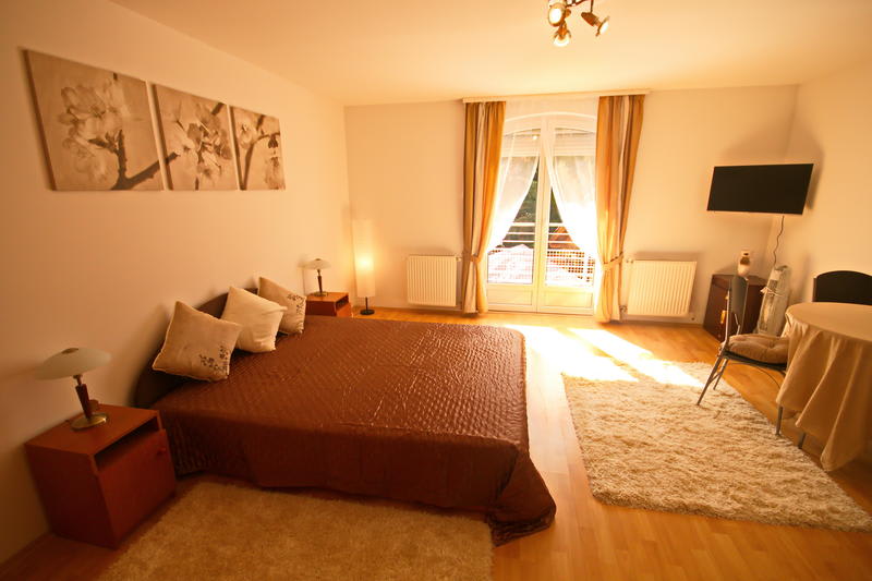 Cedar Apartment in Heviz, Hungary Find Cheap Hostels and Rooms at