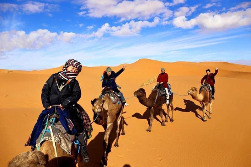 Desert Camel Trekking Camp