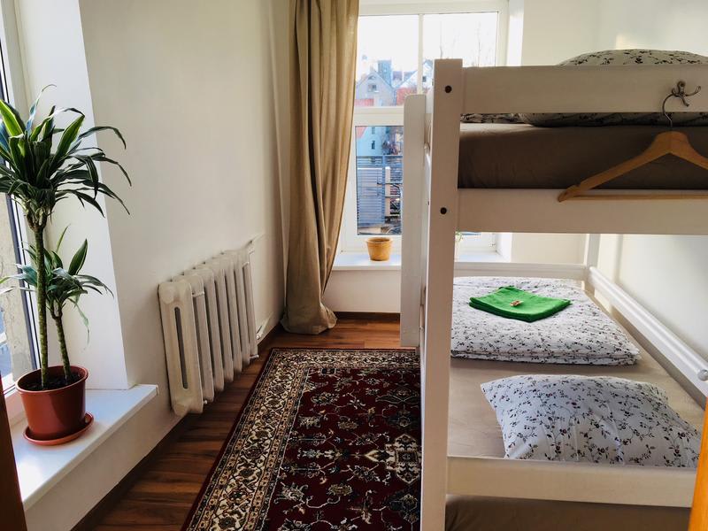 Tree House Hostel