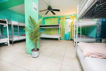 Ith Beach Bungalow Surf Hostel In San Go Usa Find Photos Of Ith Beach Bungalow Surf Hostel