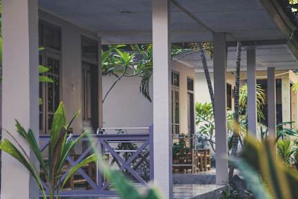 Fotos von Jungle Hotel