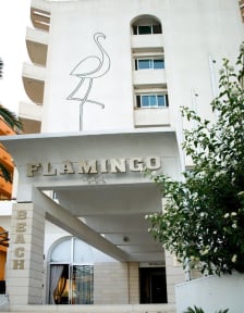 Flamingo Beach Hotel Larnaca Larnaca Cyprus Book Your