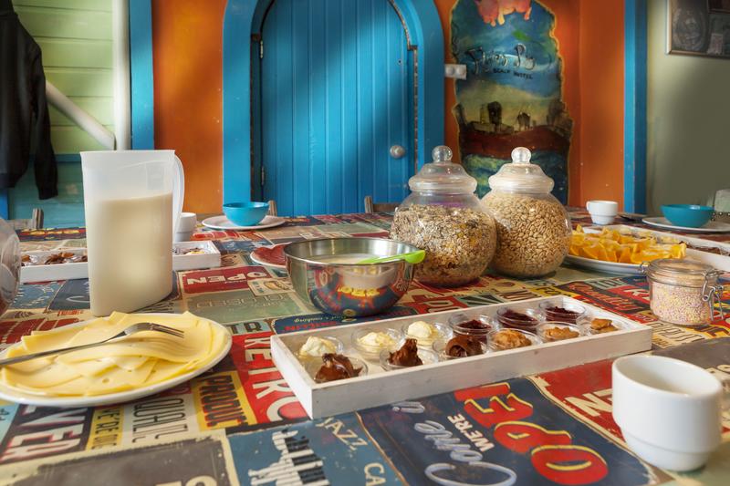 Flying Pig Beach Hostel In Amsterdam Netherlands Book And Hostel Flying Pig Beach